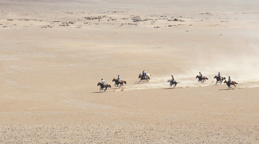 Namibia from the back of a horse equilife